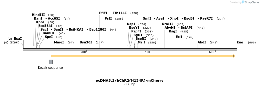 74594_map