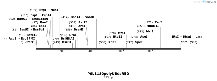 74597_map