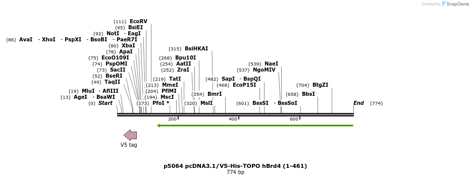 74598_map