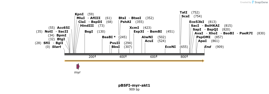 74601_map