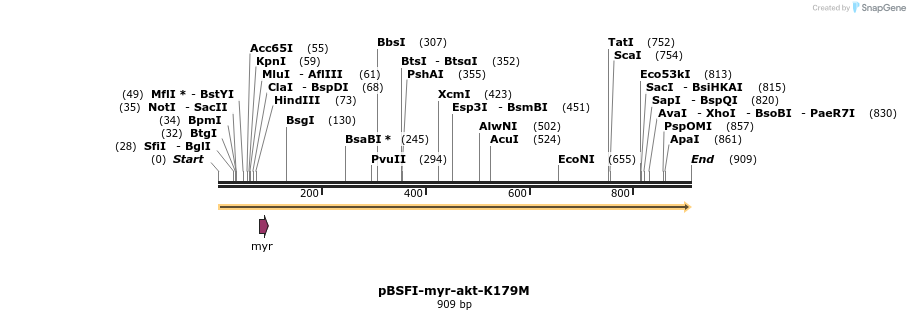 74604_map
