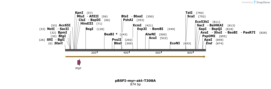 74613_map