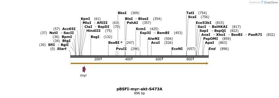 74615_map