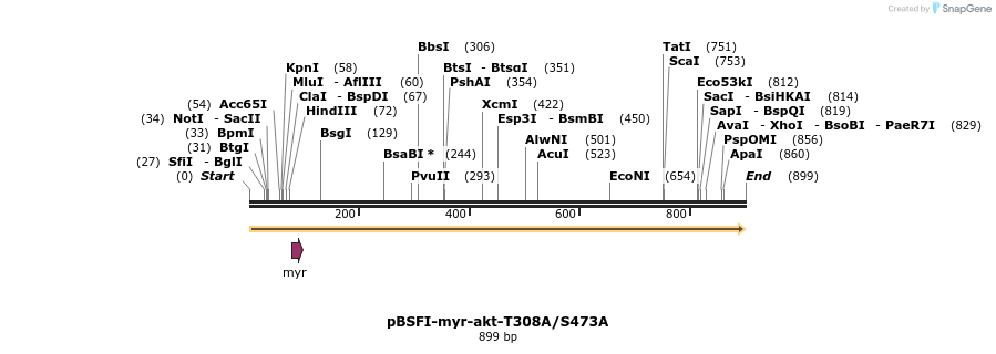 74620_map