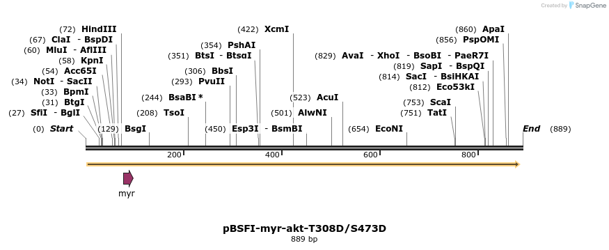 74621_map