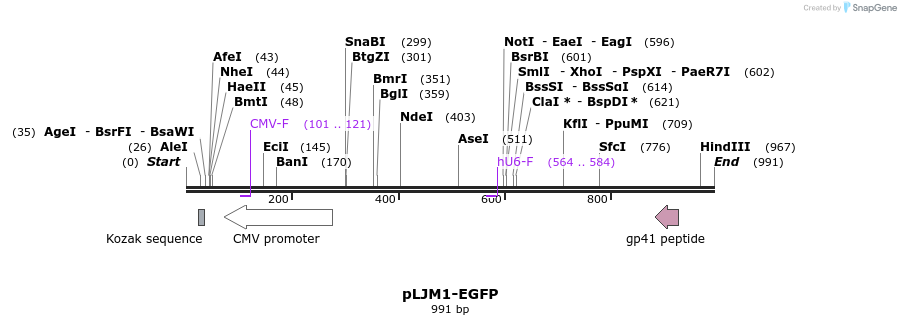 74627_map