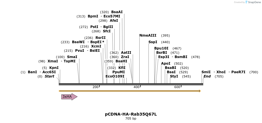 74646_map