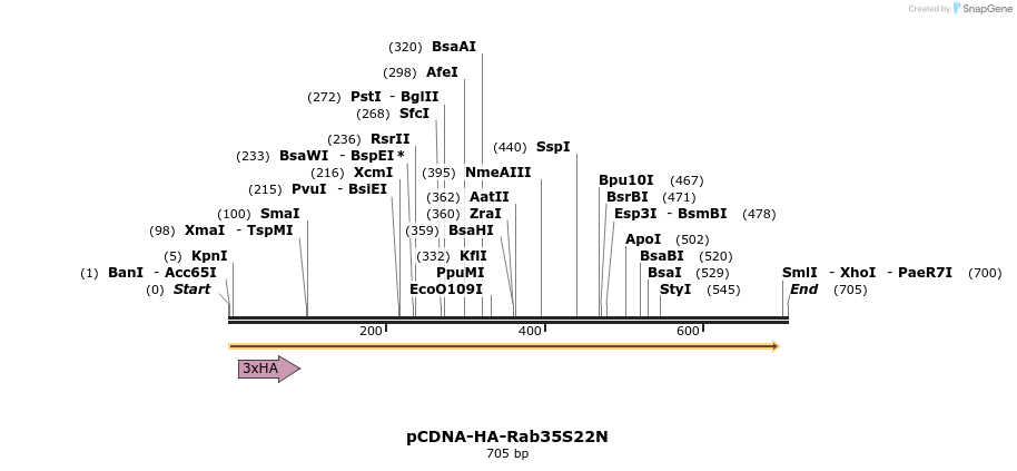 74647_map