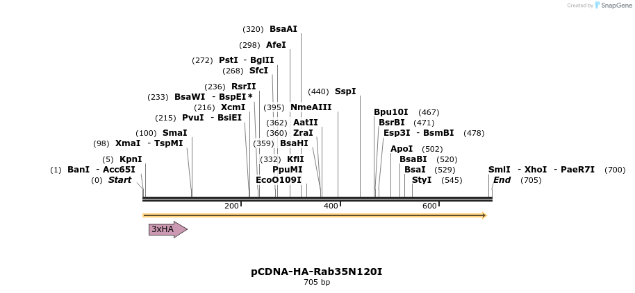 74648_map