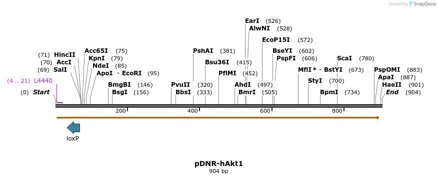 74649_map