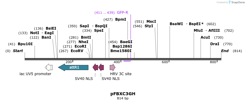 74652_map