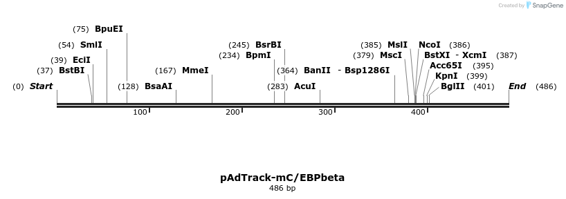 74659_map
