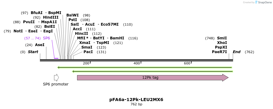 74669_map