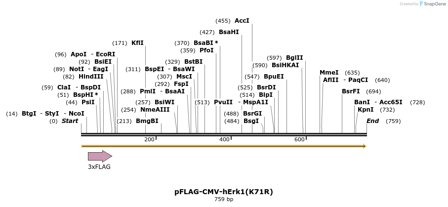 74671_map