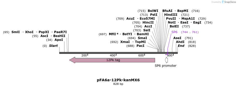74676_map