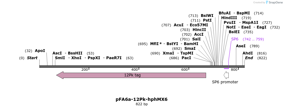 74678_map