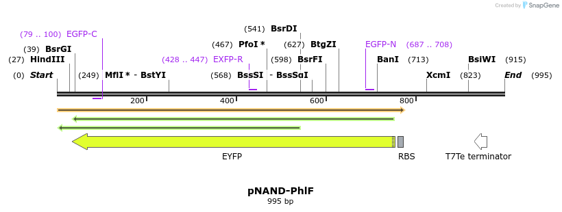 74680_map