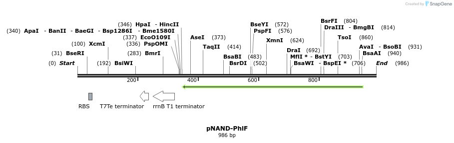 74681_map