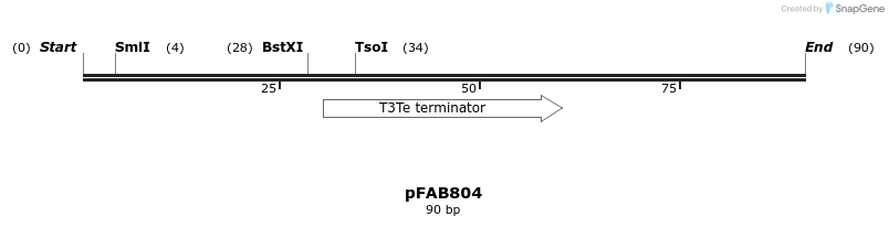 74685_map