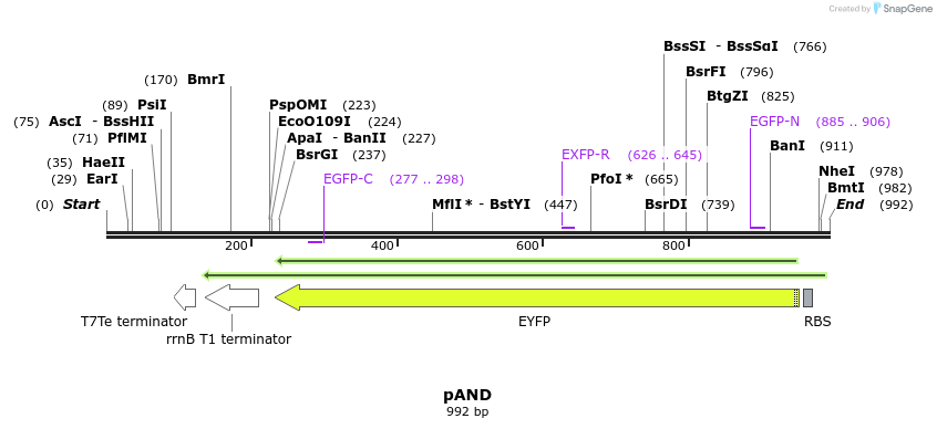 74686_map