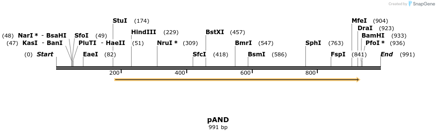 74693_map