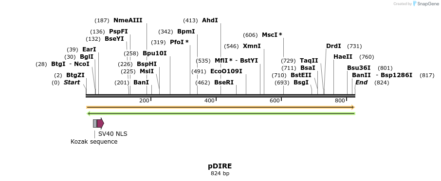 74704_map