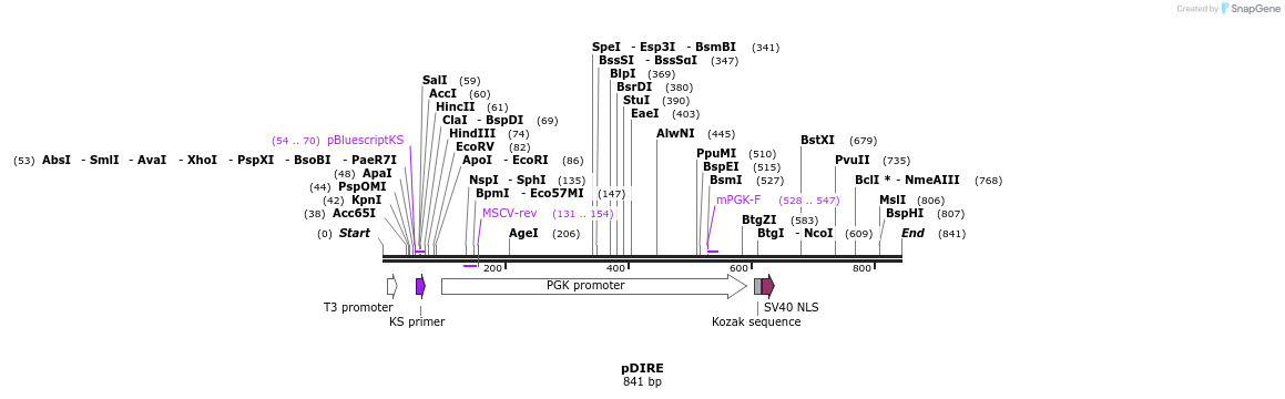 74705_map