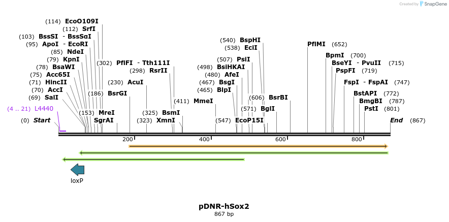 74708_map