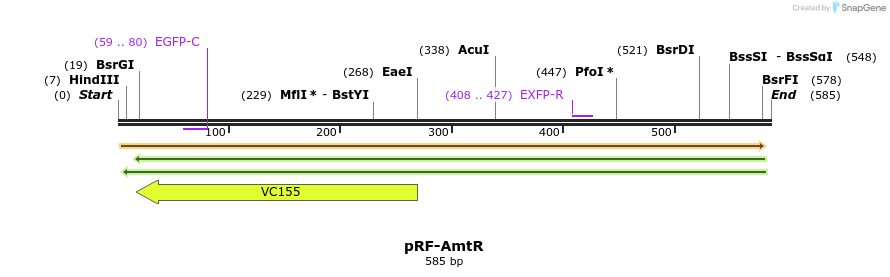 74711_map