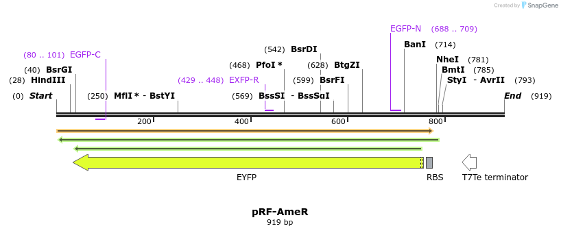74712_map
