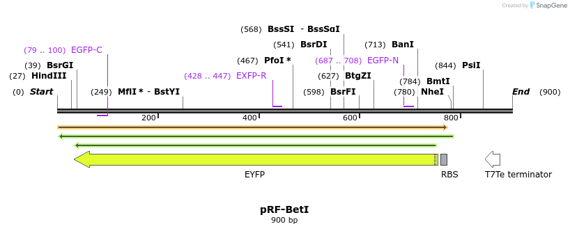 74713_map
