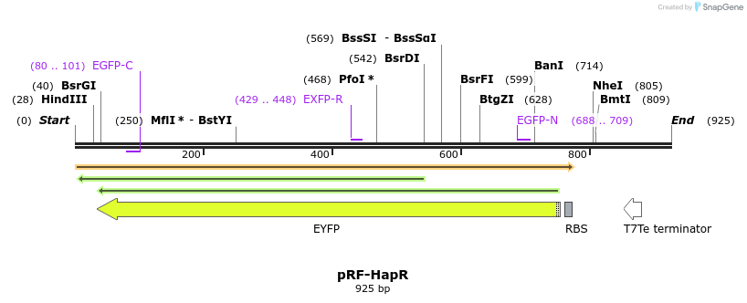 74720_map
