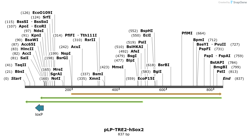 74726_map