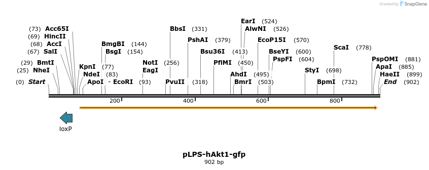 74727_map