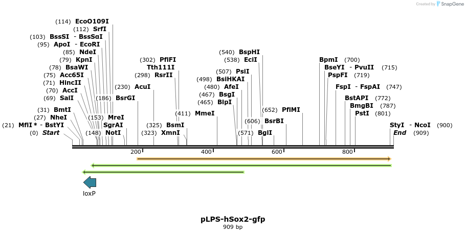 74728_map