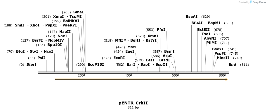 74729_map
