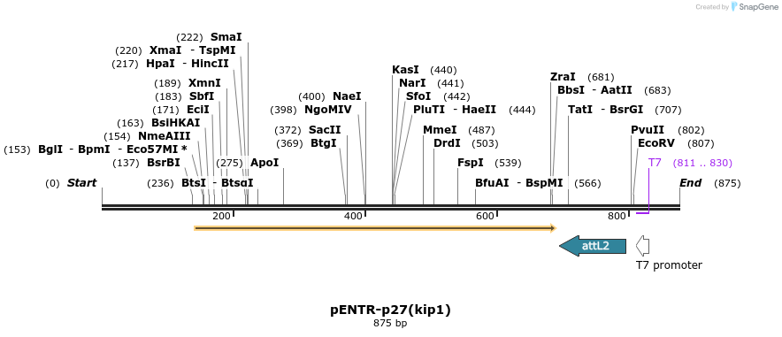 74738_map