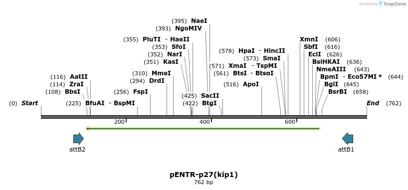 74739_map