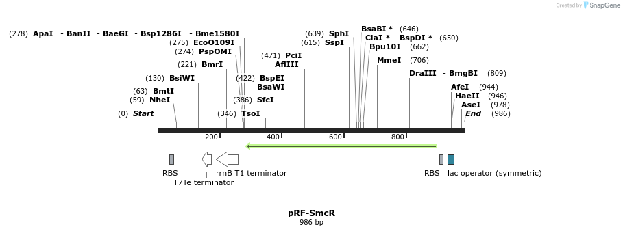 74741_map