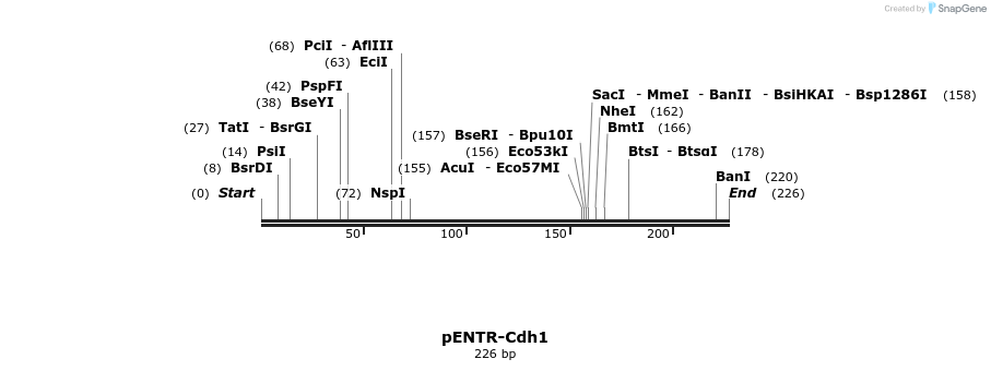 74744_map