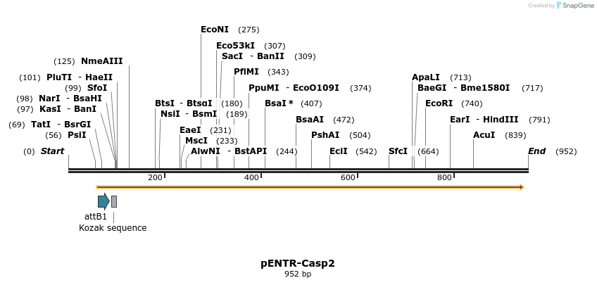 74745_map