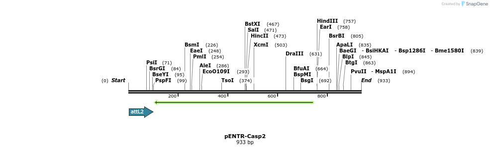 74746_map