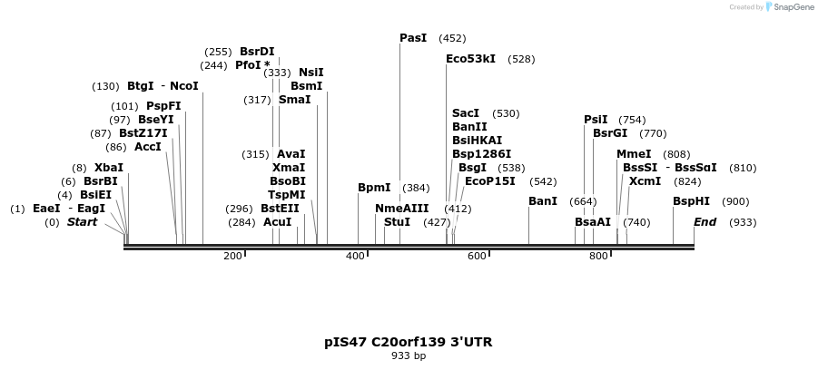 74756_map