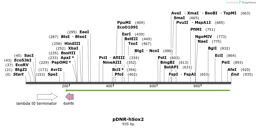 74772_map