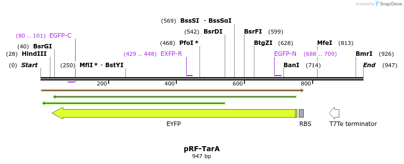 74778_map