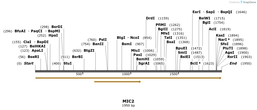 74801_map