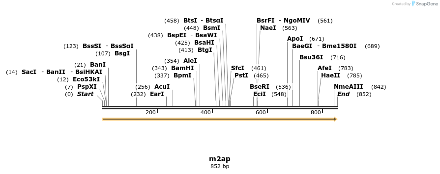 74802_map