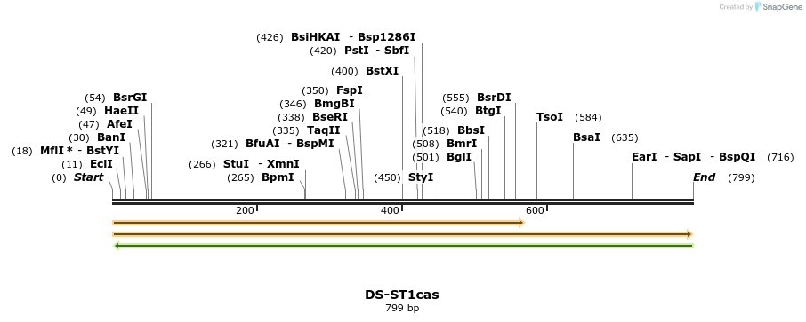 74816_map