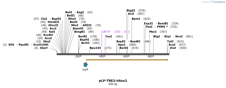 74817_map