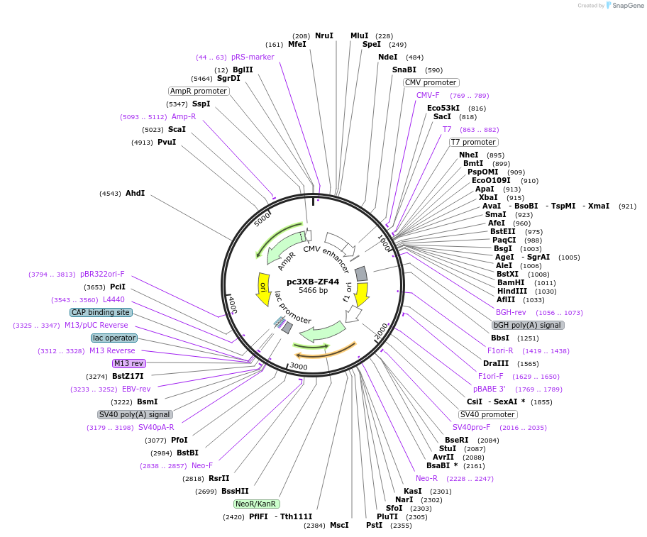 7492_map